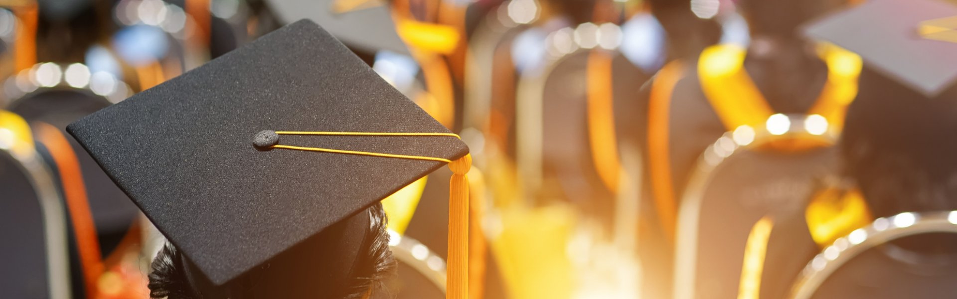 Sponsorizza una tesi di laurea sulla sicurezza